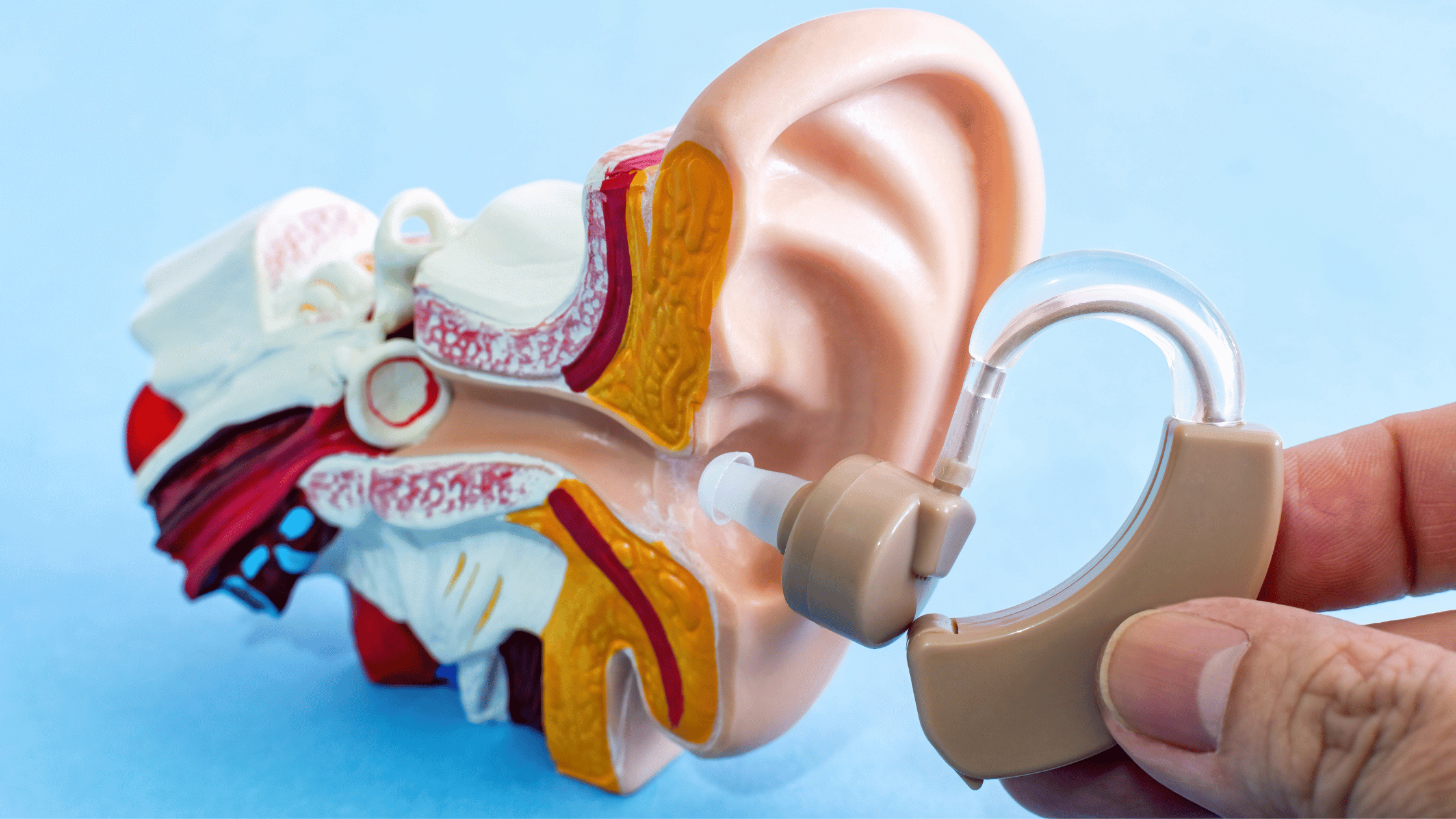 perdida auditiva bilateral
